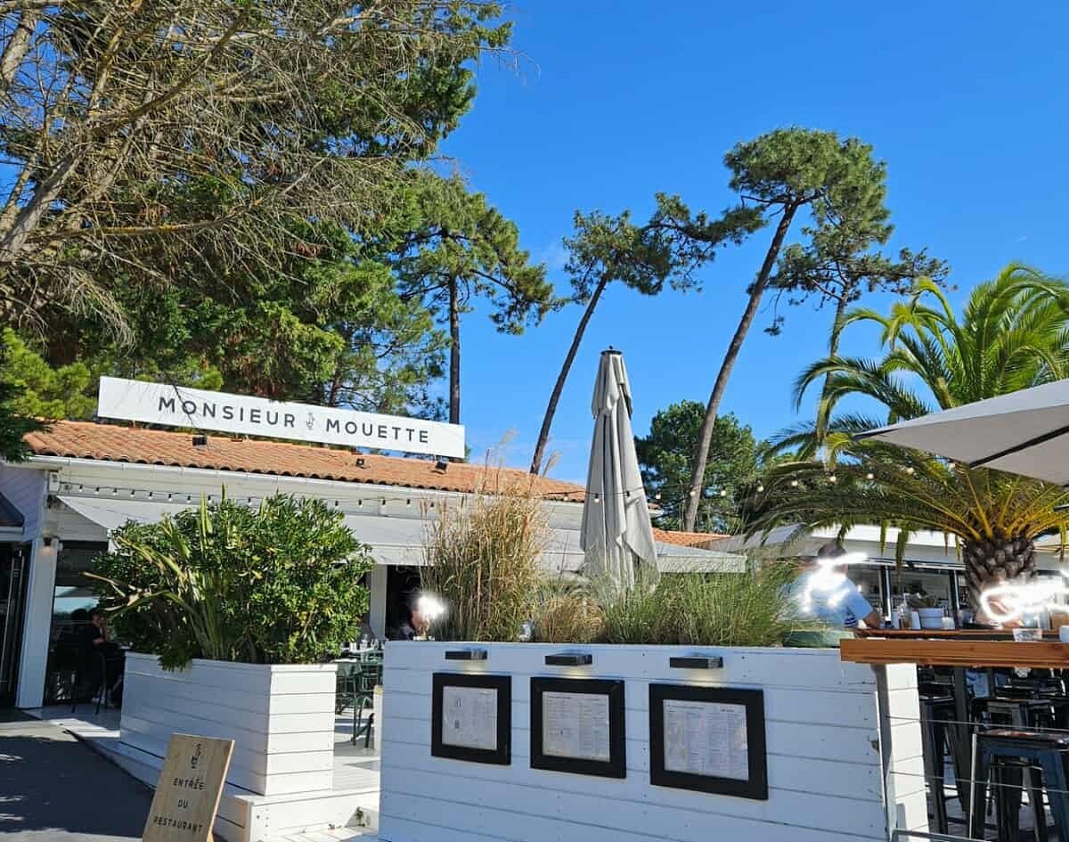 Monsieur Mouette, Restaurant in Capbreton