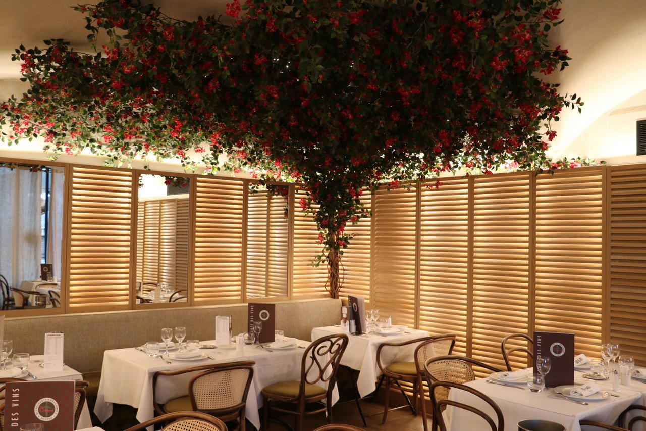 Le Sud restaurant in Lyon, France
