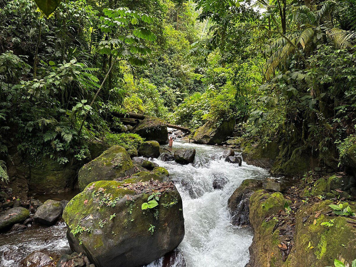 El Salto, Restaurant in Bijagua