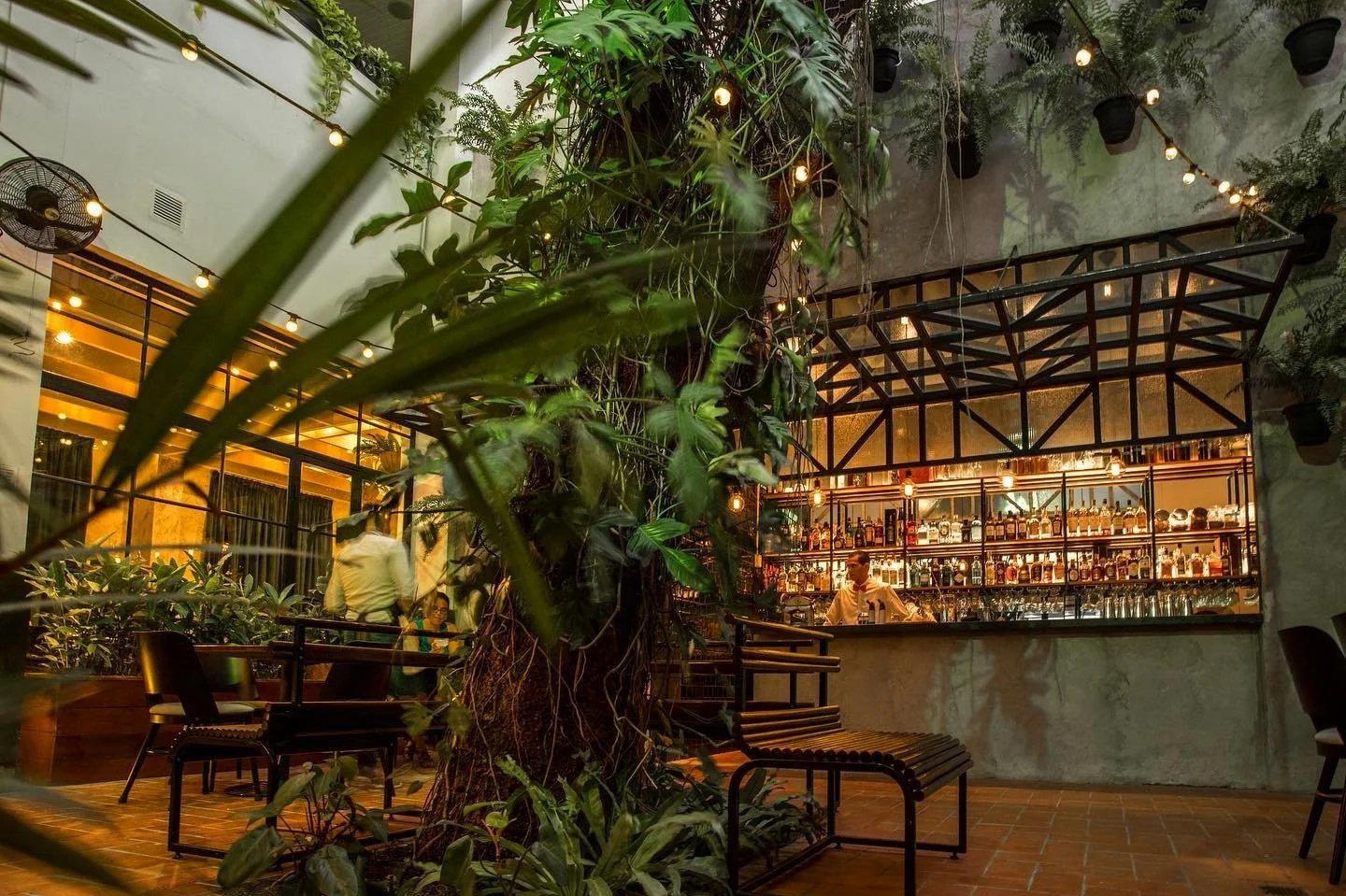 BRIO Brasserie restaurant in Panama City