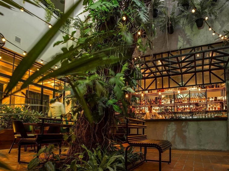 BRIO Brasserie, Panama City, Panama