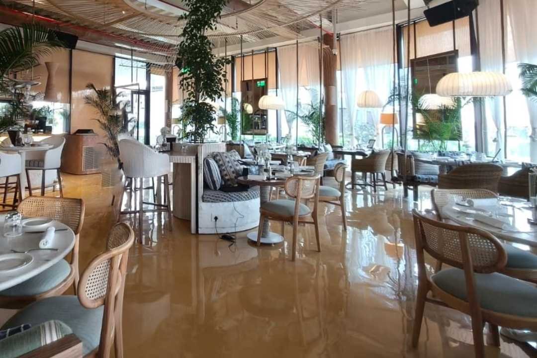 Olive Cafe & Bar, Borivali, Restaurant in Mumbai