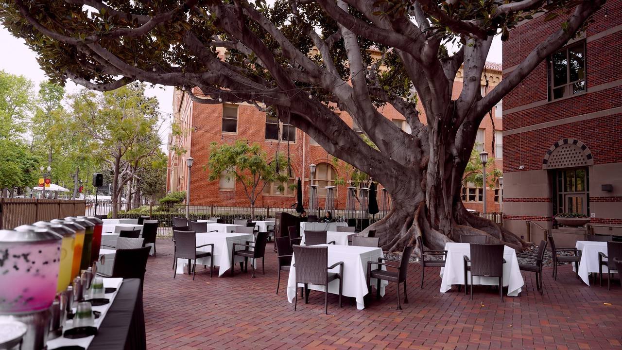 Moreton Fig, Restaurant in Los Angeles