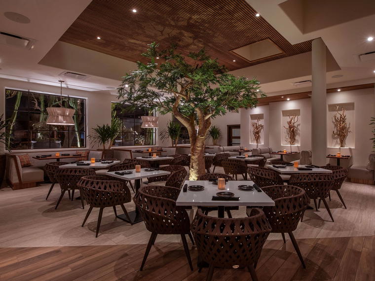 SOL Mexican Cocina, Irvine, United States