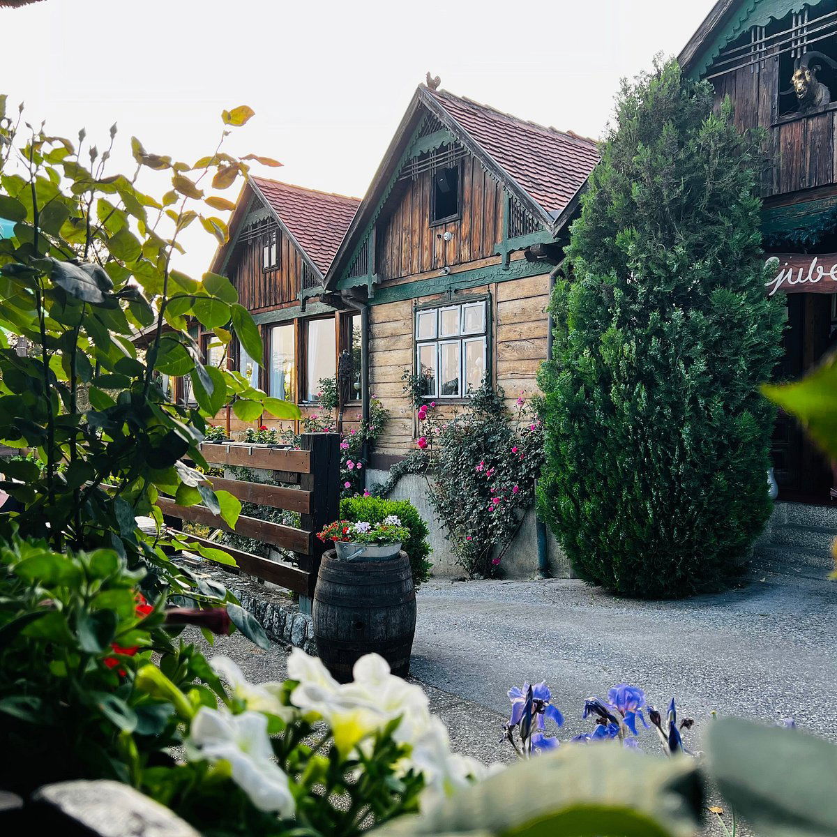 Klet Ljubekov gaj, Restaurant in Blazevdol