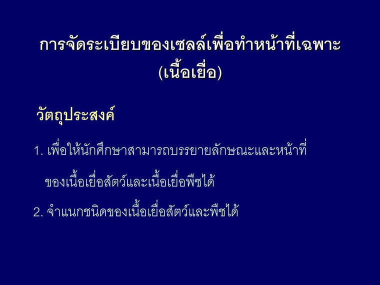 à¹à¸à¹à¸à¸à¸´à¸£à¸±à¸à¸à¸£à¹ - ZAABNIRAN One Bangkok, Bangkok, Thailand