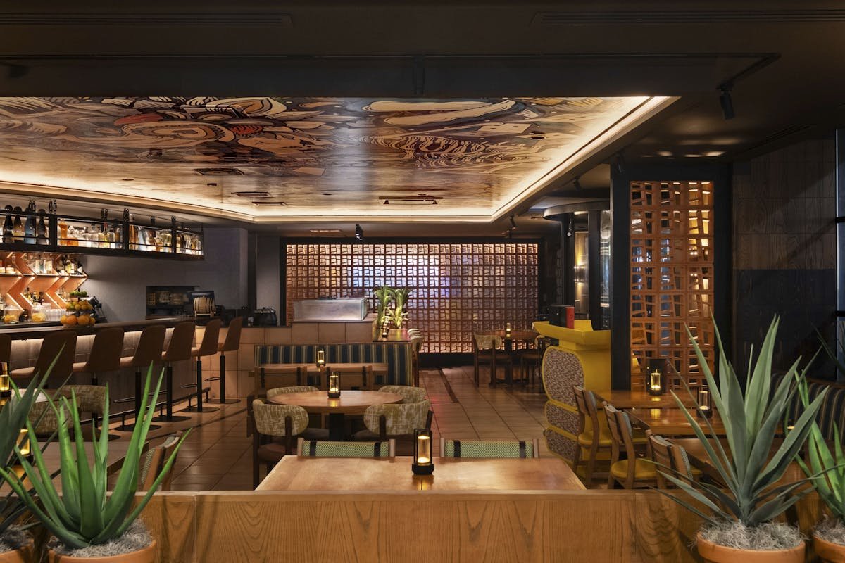 Casa Chi, Restaurant in Chicago