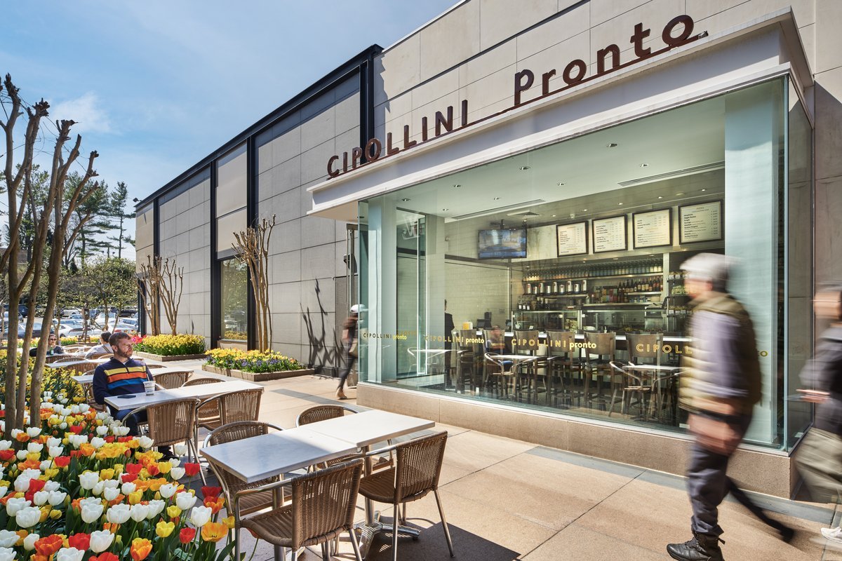 Cipollini Pronto