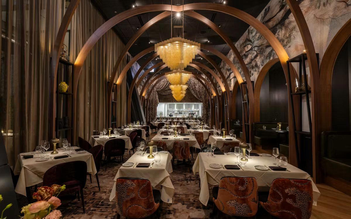 Adalina Prime, Chicago, United States