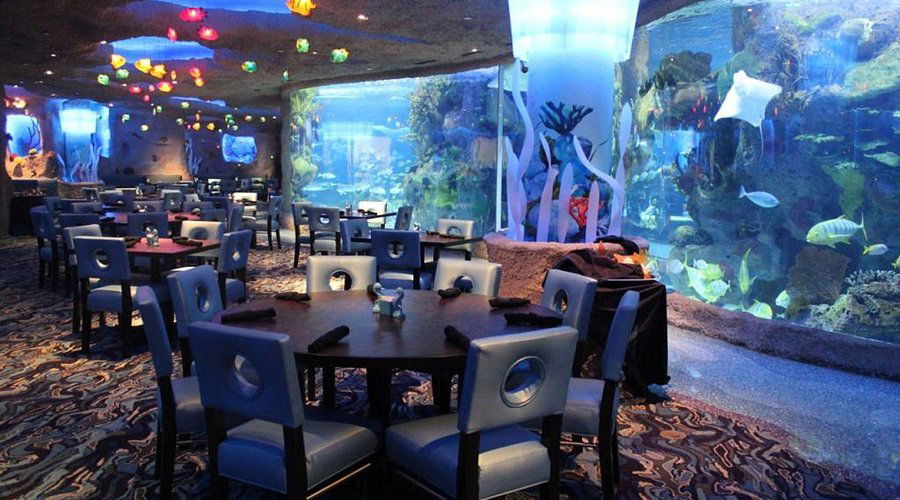 Aquarium, Restaurant in Nashville
