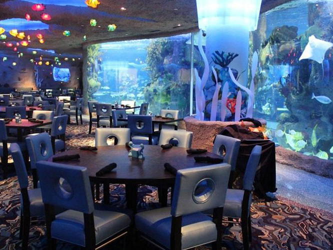 Aquarium, Nashville, United States