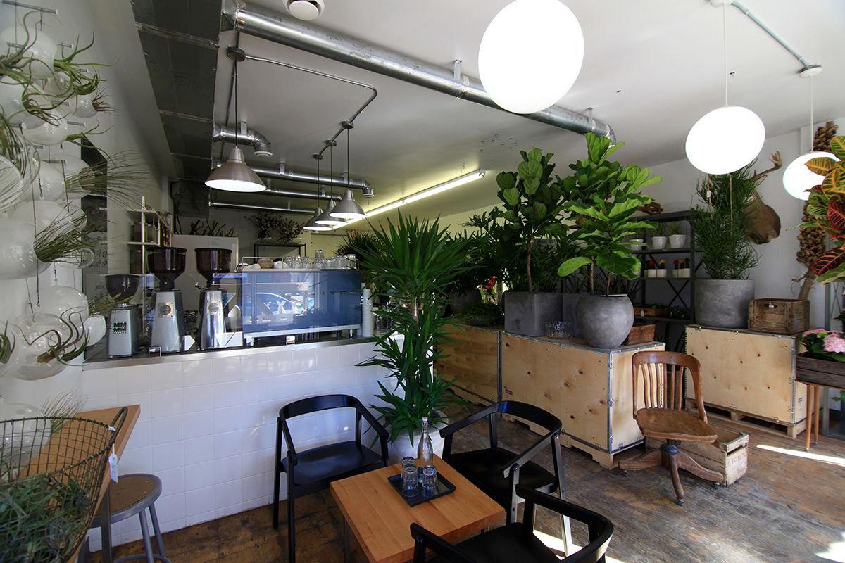 Blumenstudio restaurant in Ottawa, Canada
