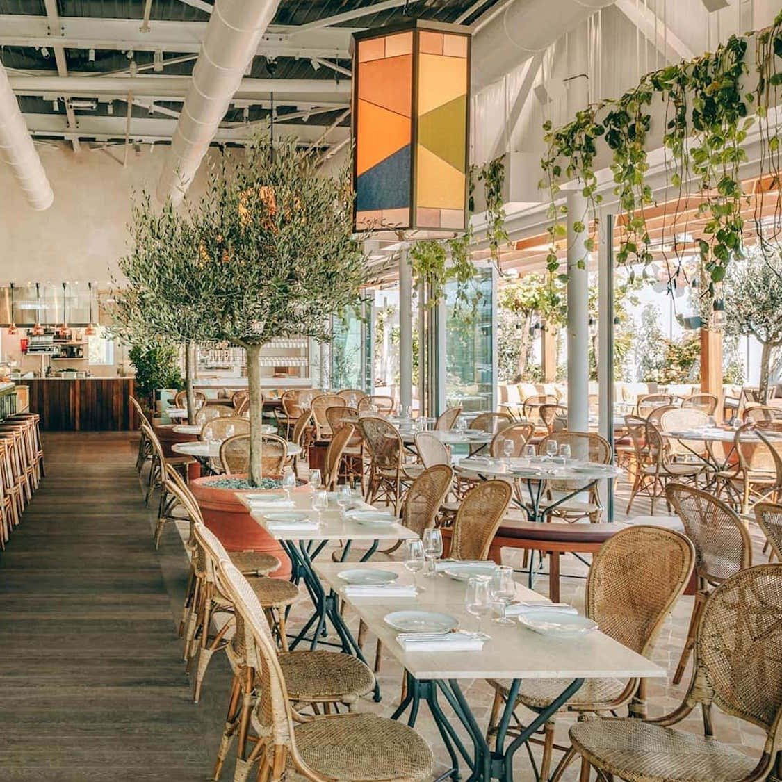 Tuco, Restaurant in Paris