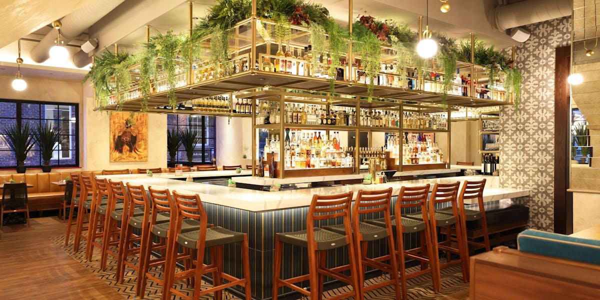 The Painted Burro - Harvard Square restaurant in Cambridge, United States