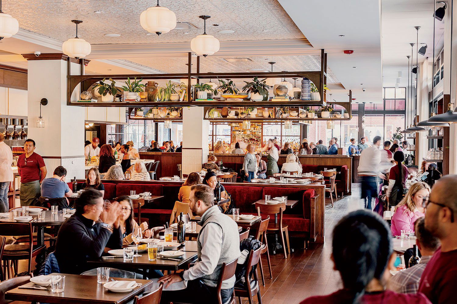 Il Carciofo, Restaurant in Chicago