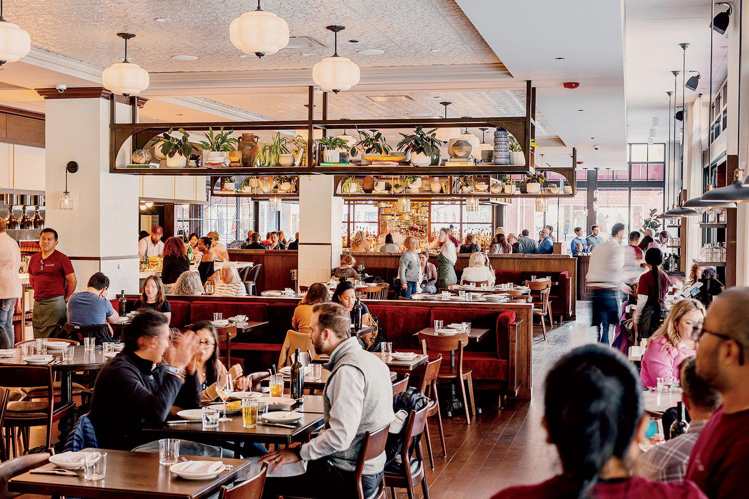 Il Carciofo restaurant in Chicago, United States