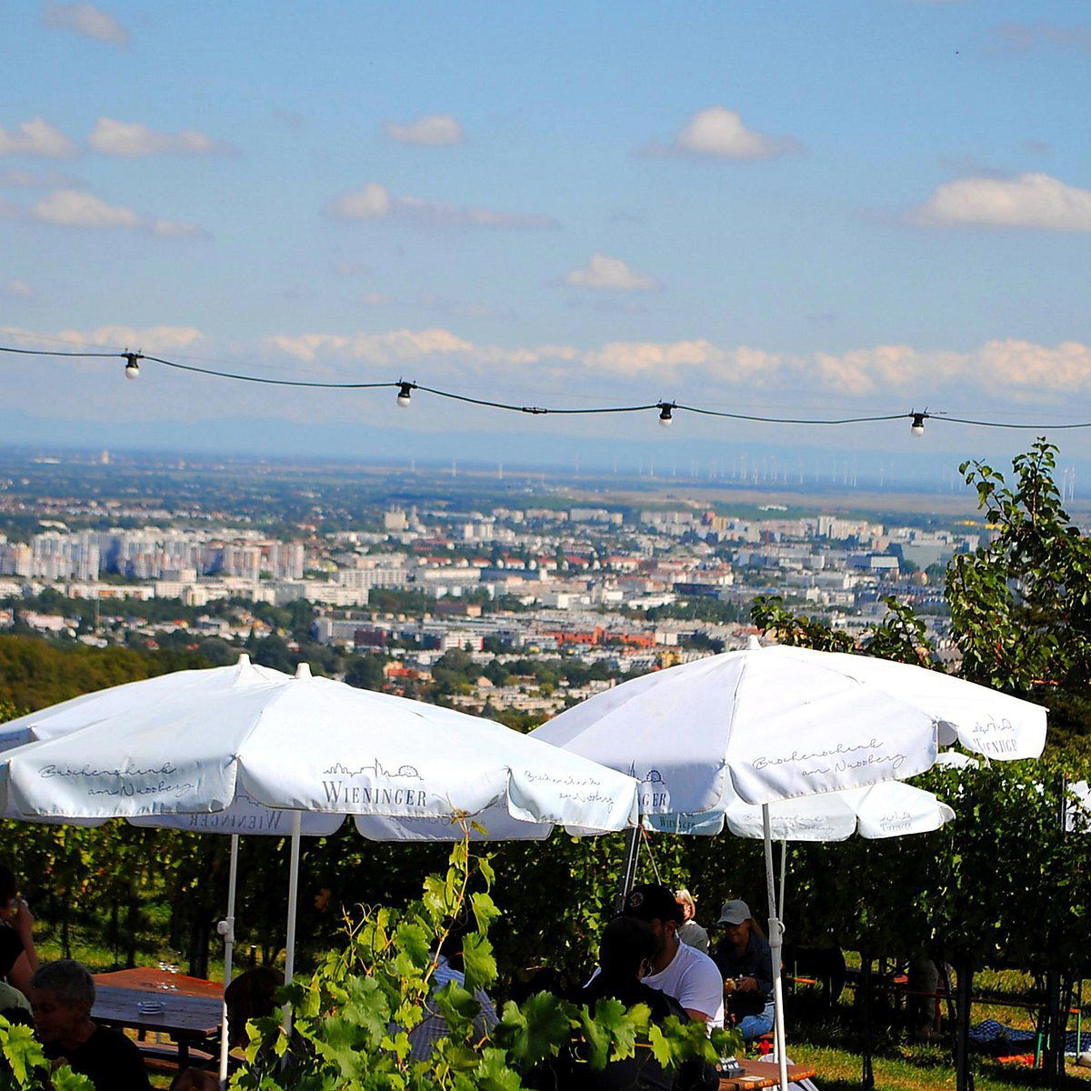 Nussberg restaurant in Wien, Austria