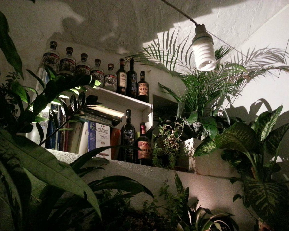 Casa Clementina, Restaurant in Rome