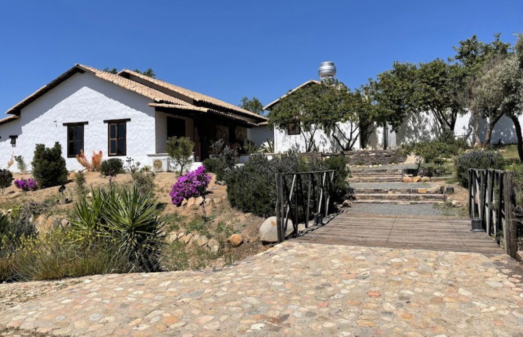 Laja, Restaurant in Ensenada