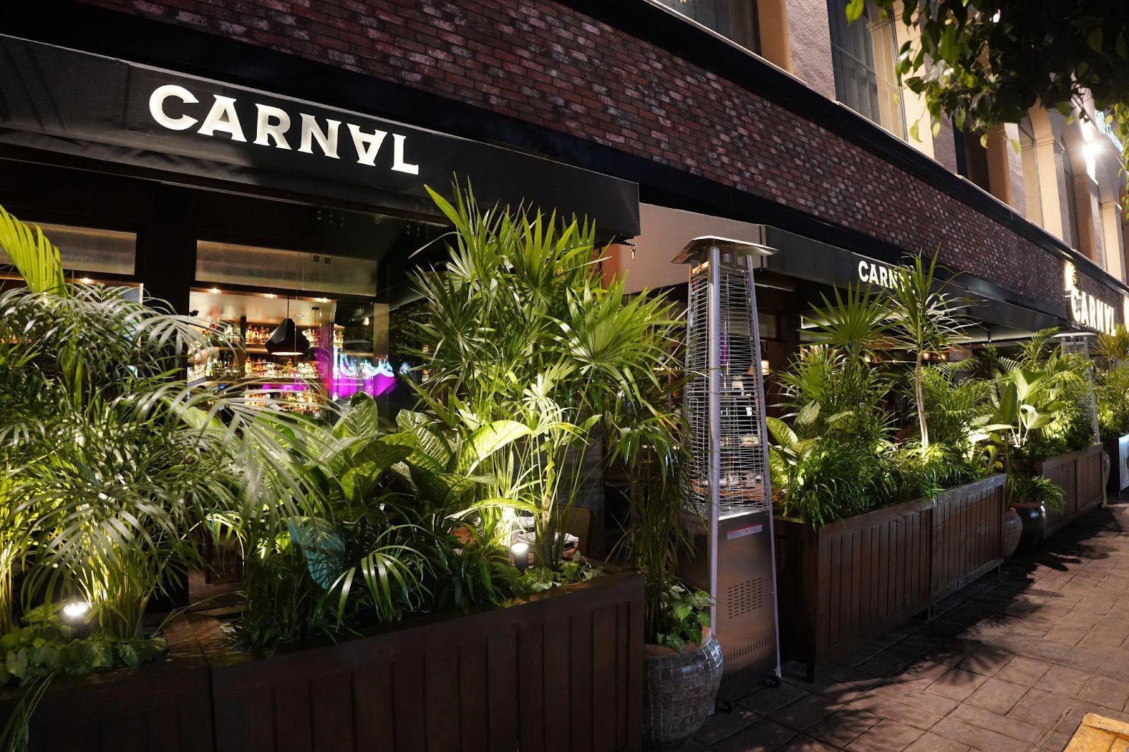 Carnal- Insurgentes restaurant in Mexico City, Mexico