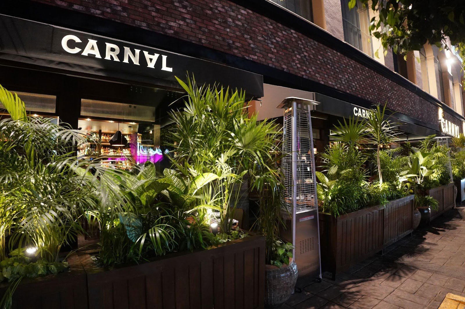 Carnal- Insurgentes, Restaurant in Mexico City