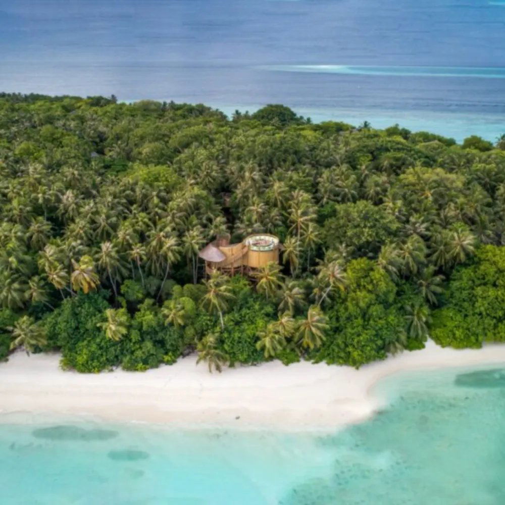 Flying Sauces, Restaurant in Eydhafushi