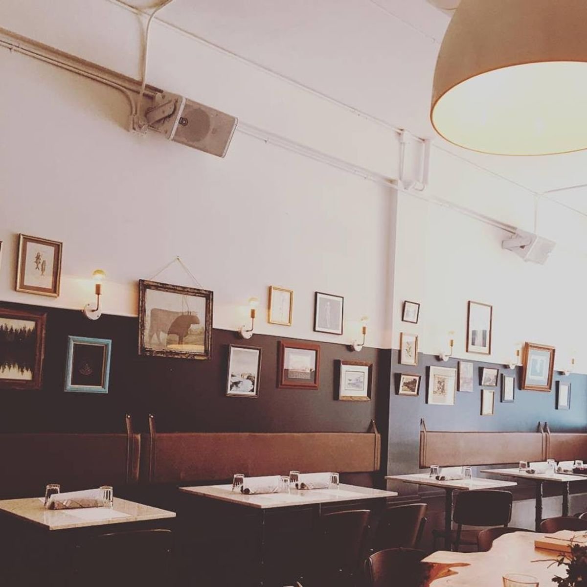 Dandylion, Restaurant in Seattle