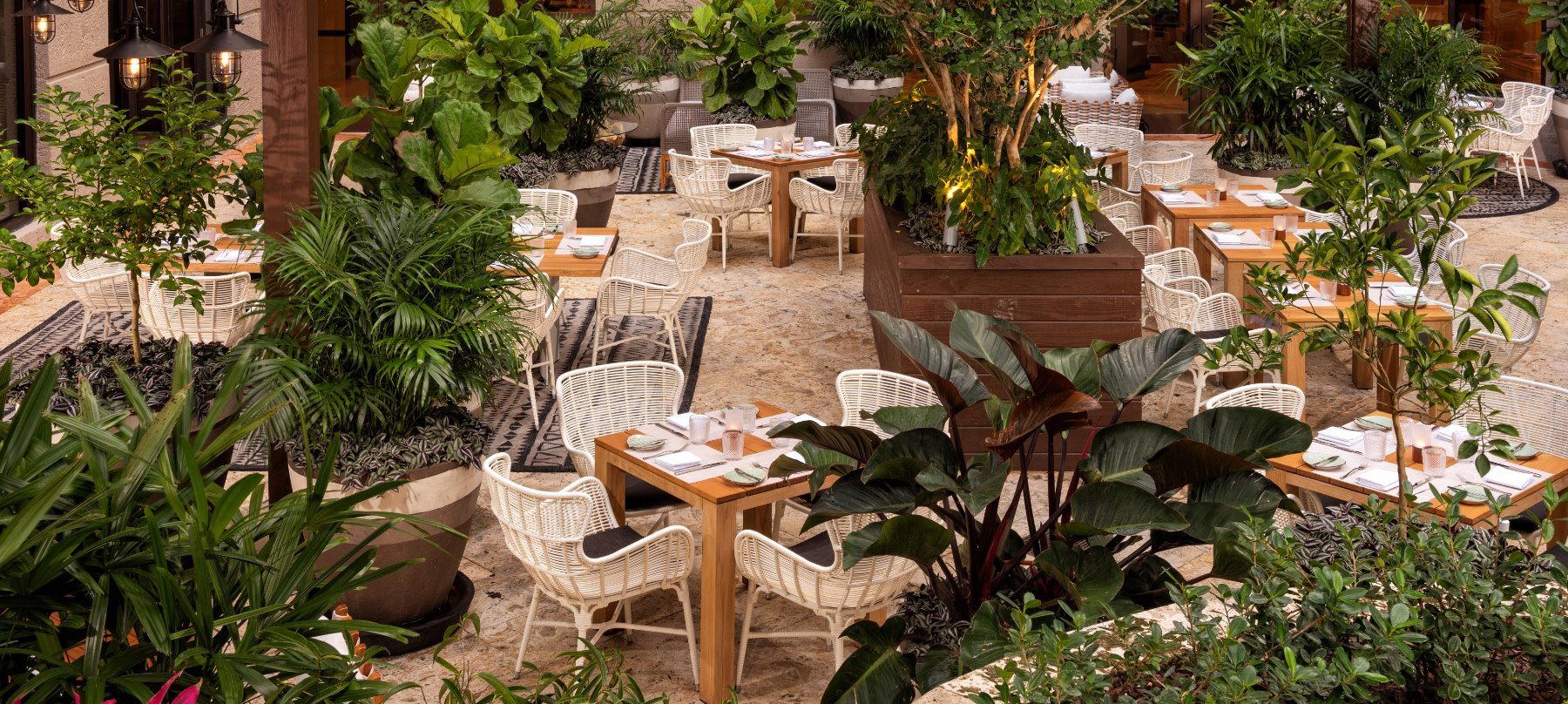 Isabelle's Coconut Grove