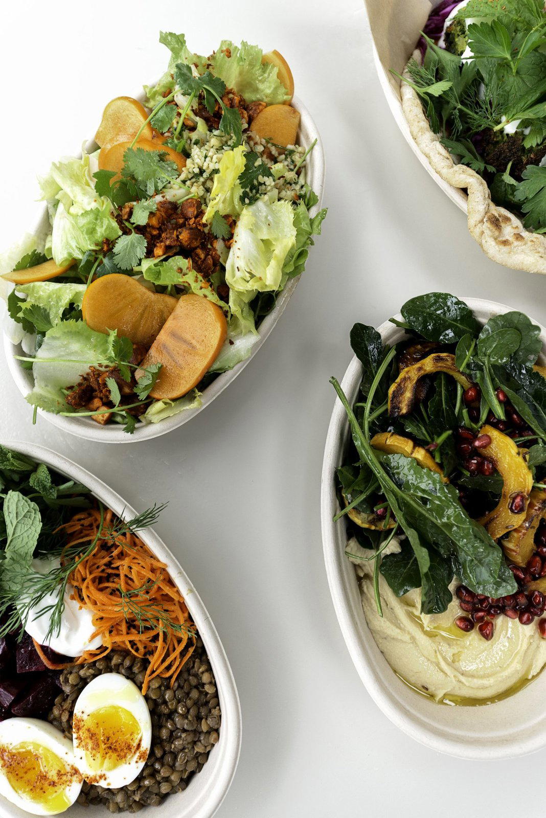 FAVA restaurant in Berkeley, United States