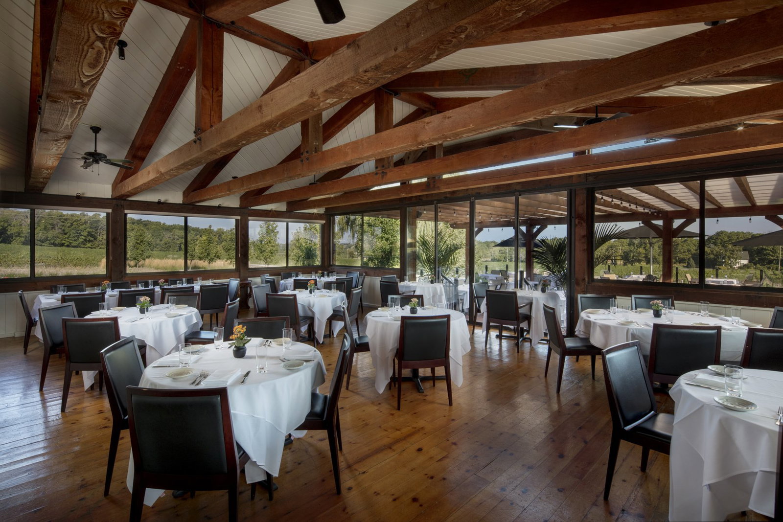 Vineland Estates Winery, Vineland, Canada