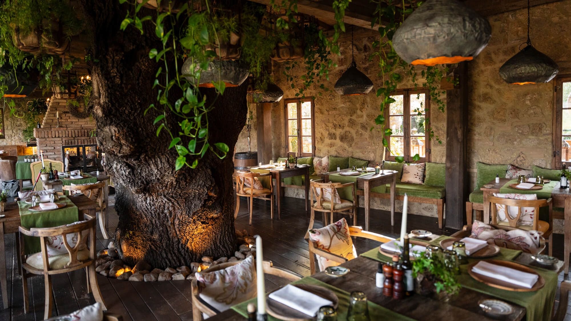Sull’Albero Trattoria