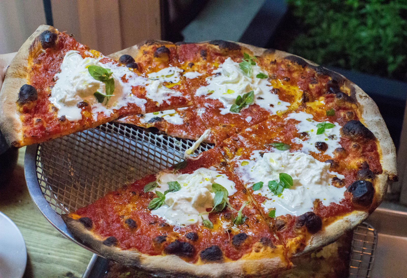 Pizza Loves Emily, Restaurant in New York City