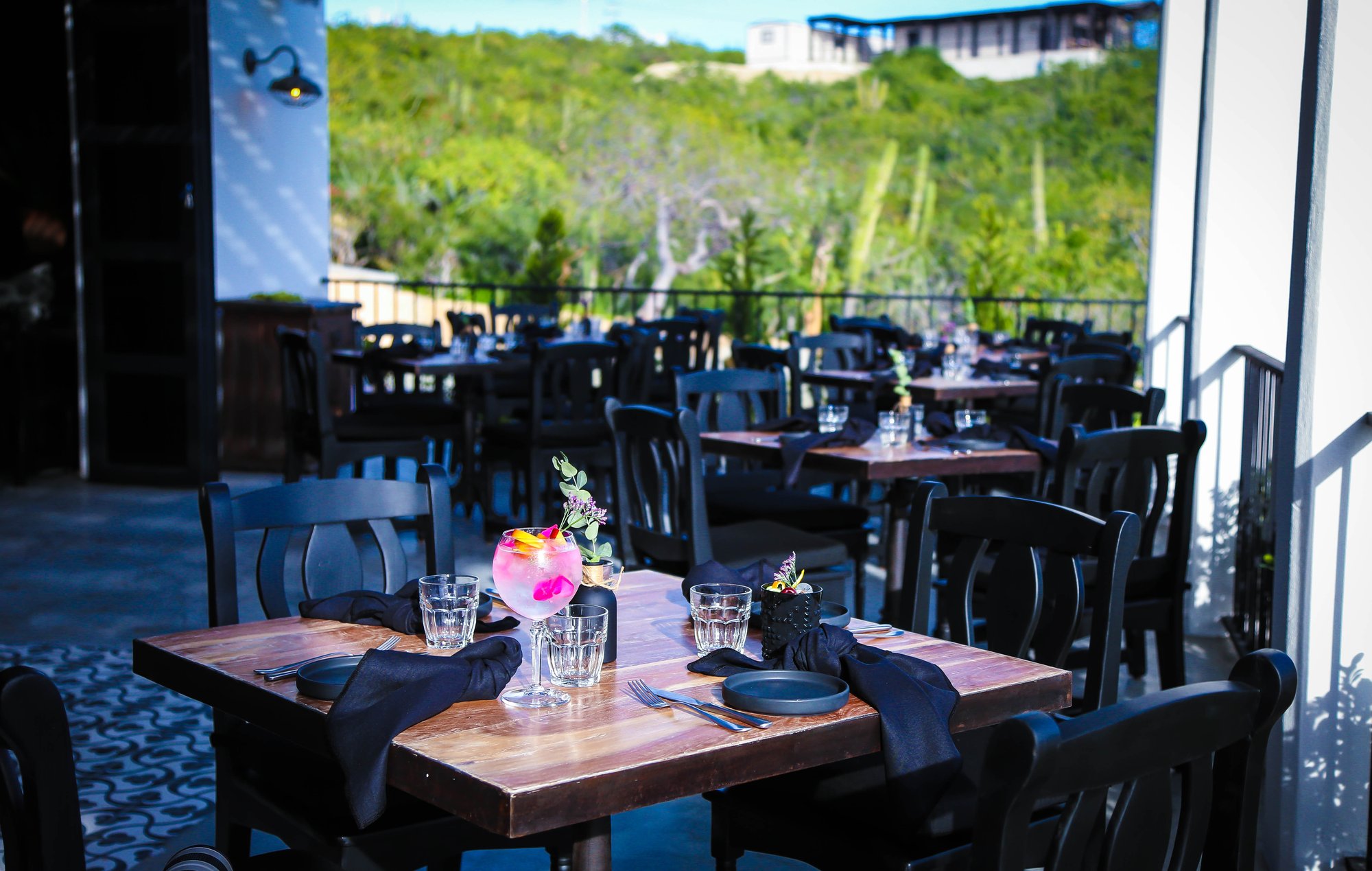 Pícaro Garden Cuisine by Romeo & Julieta, Restaurant in Los Cabos