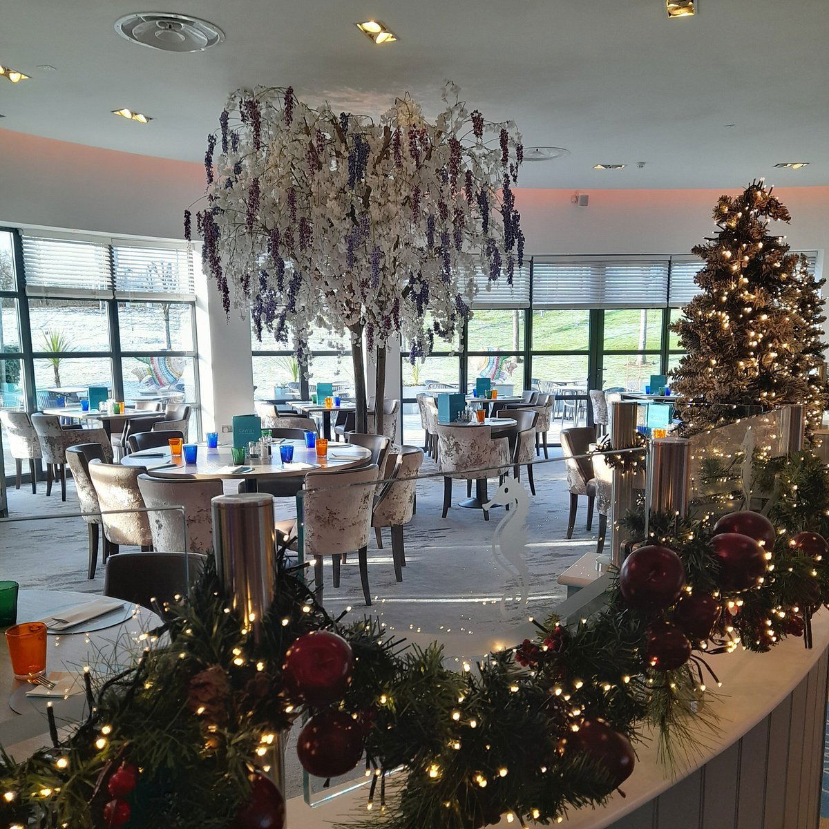 Sea-Salt Falkirk, Restaurant in Falkirk