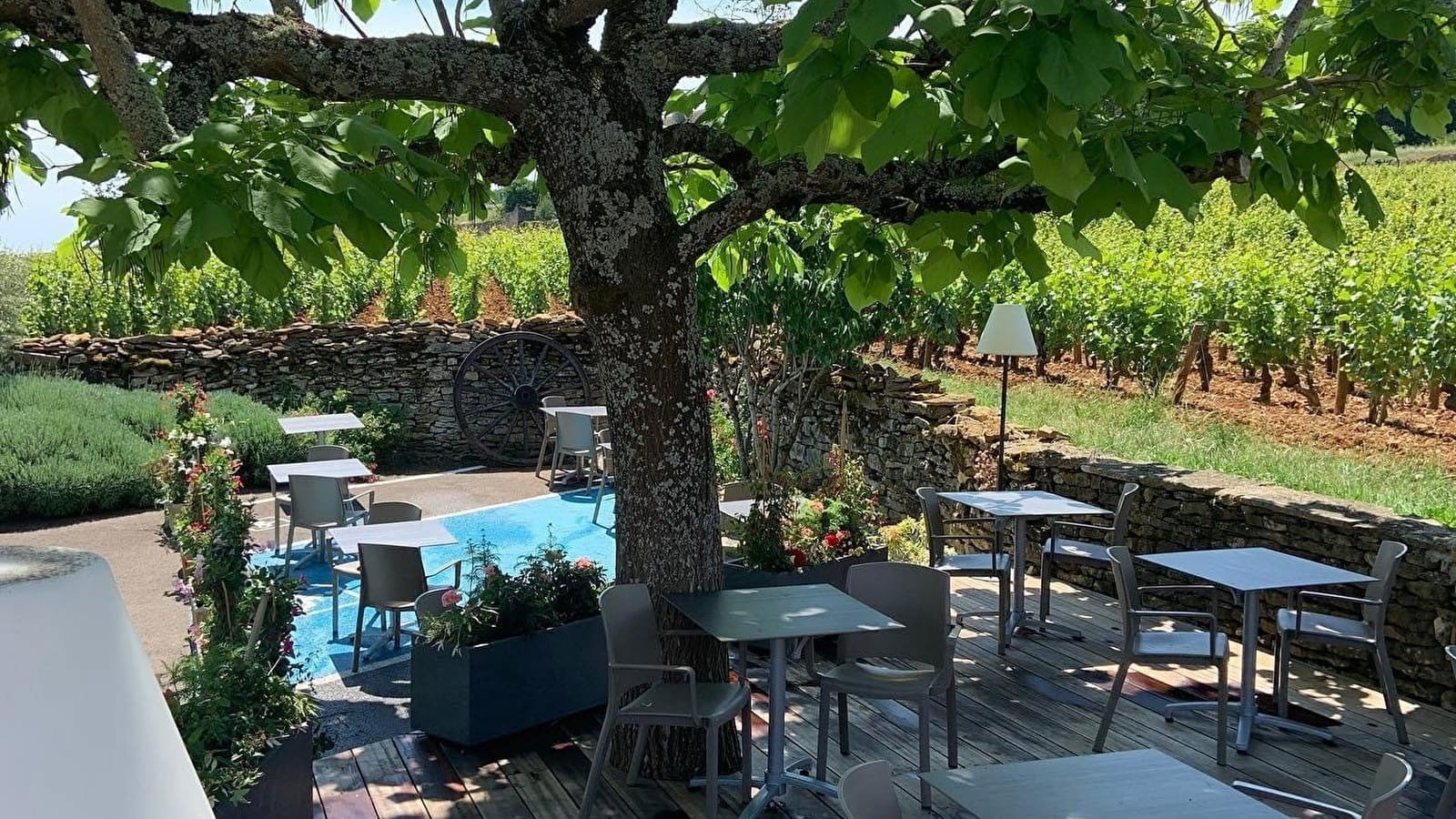 Au Clos Napoléon, Restaurant in Fixin