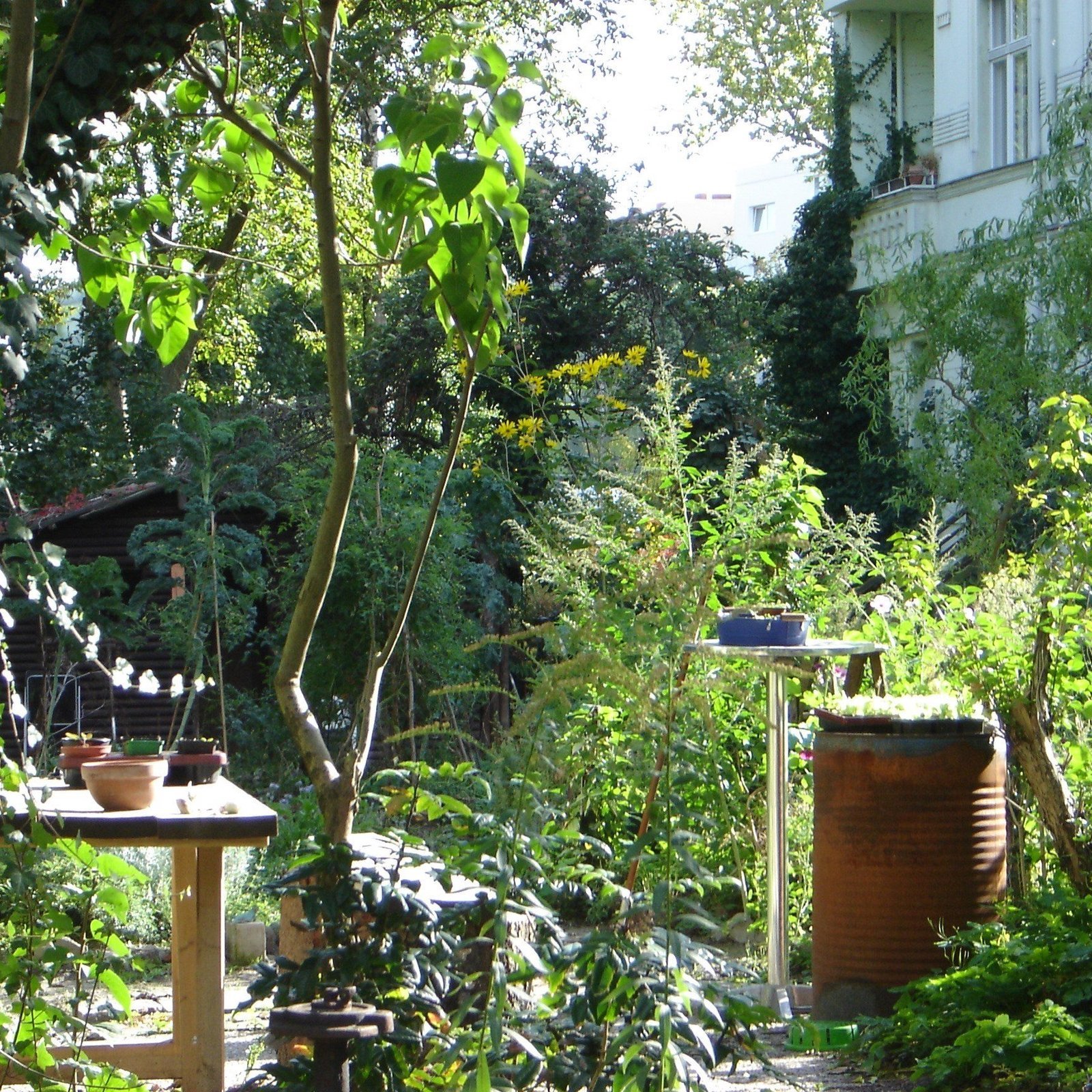 Café Botanico, Berlin, Germany