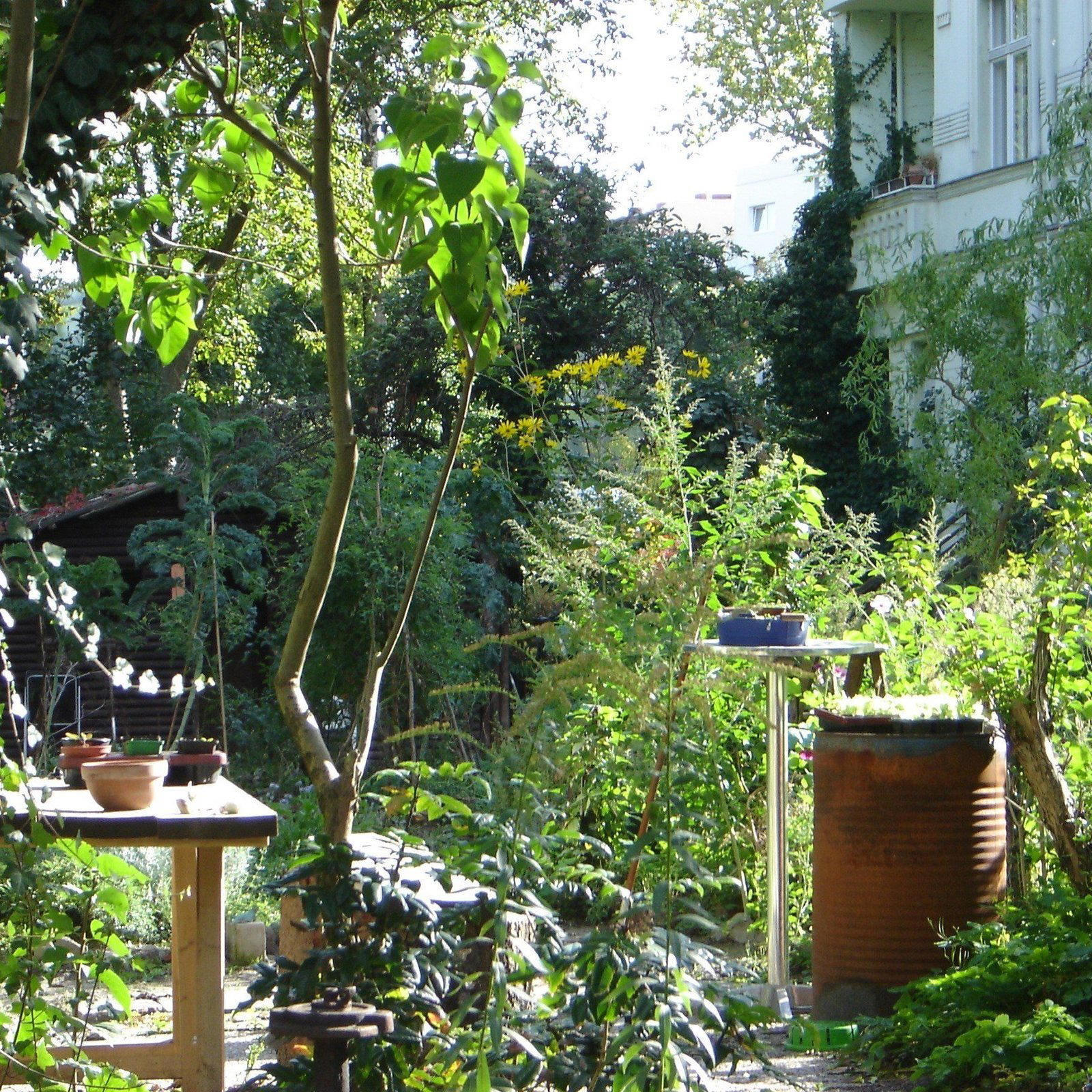 Café Botanico restaurant in Berlin, Germany