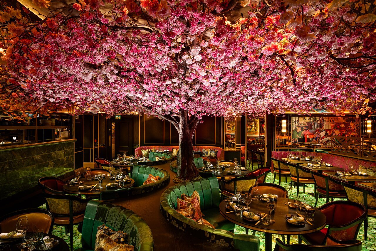 The Ivy Asia Dublin