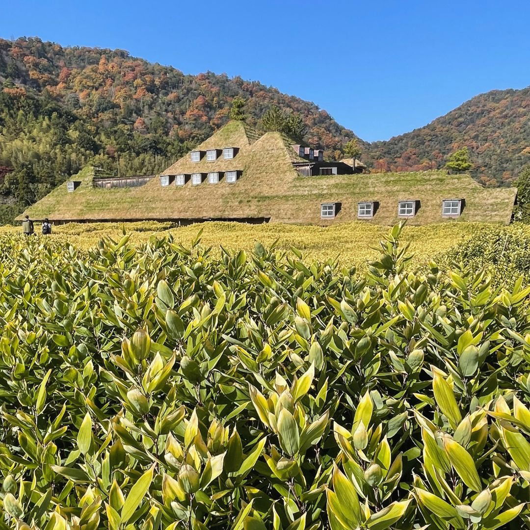 La Collina, Restaurant in Omihachiman