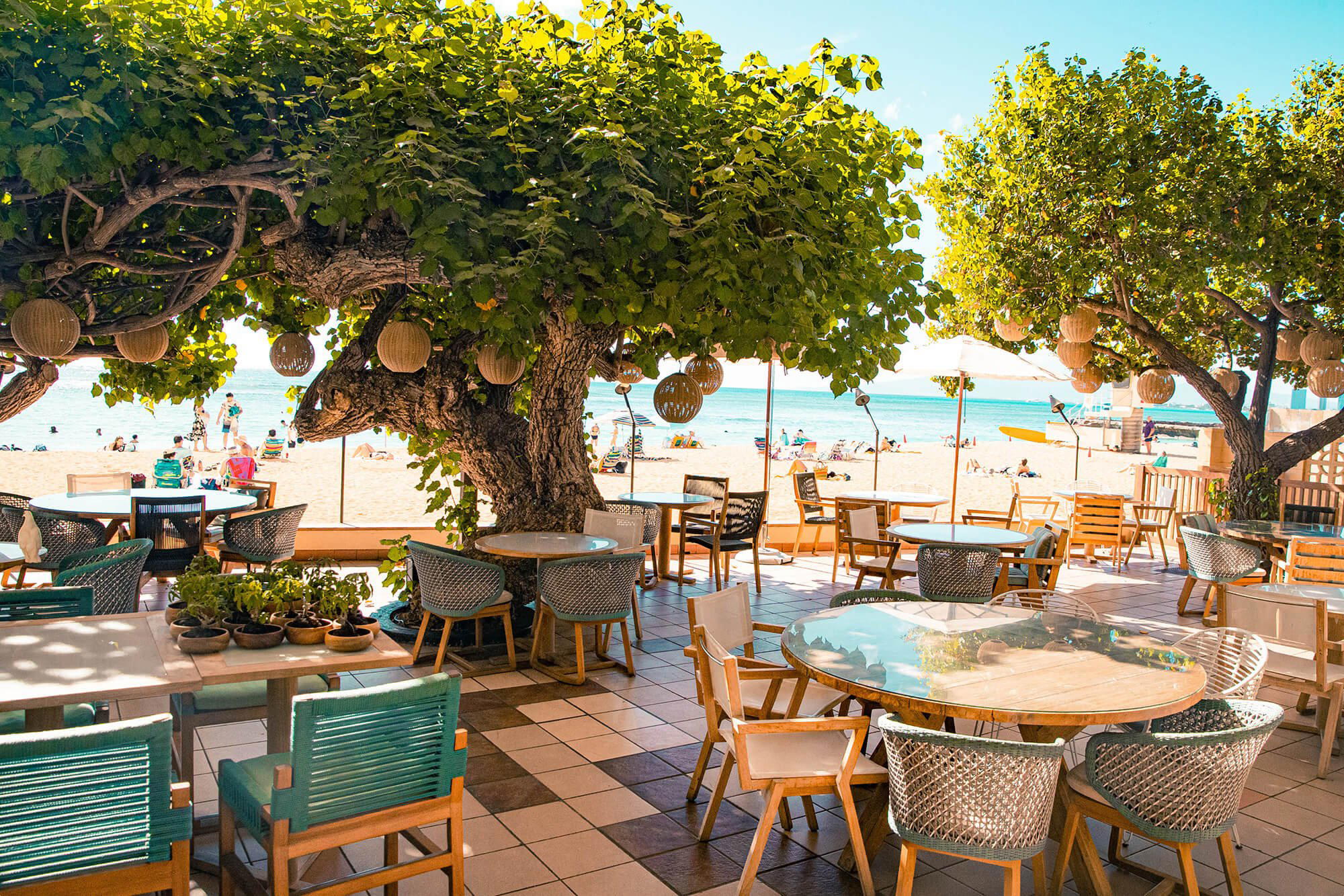 Hau Tree, Honolulu, United States