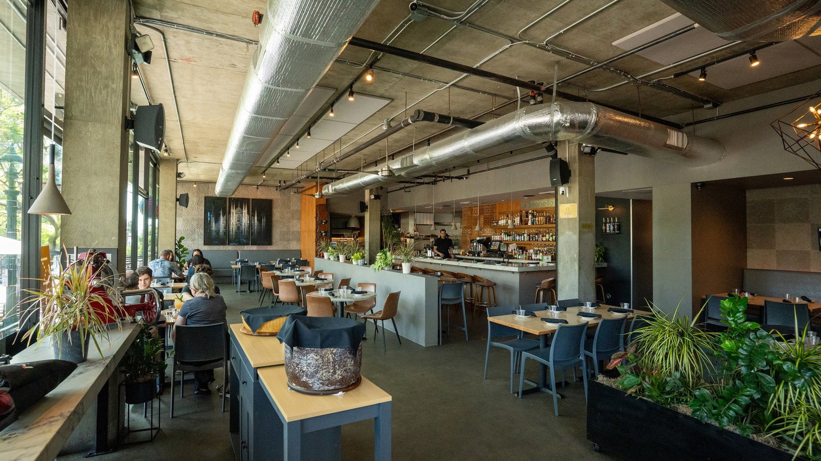 Monello, San Diego, United States