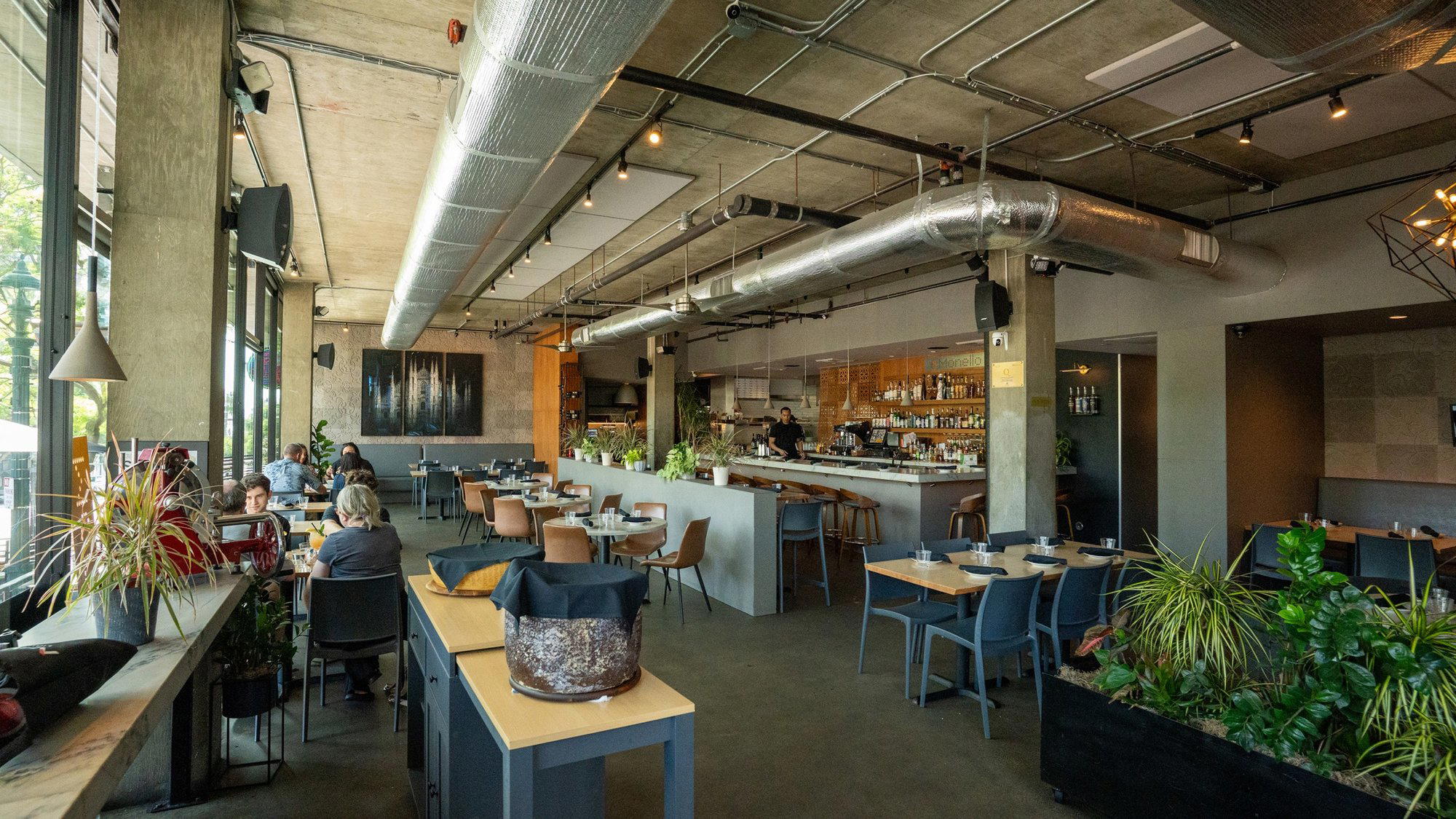 Monello restaurant in San Diego, United States