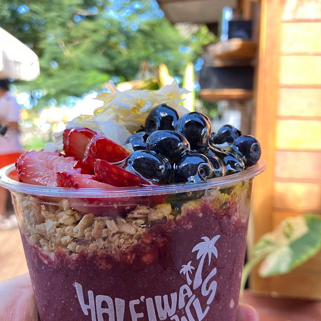 Haleiwa Bowls