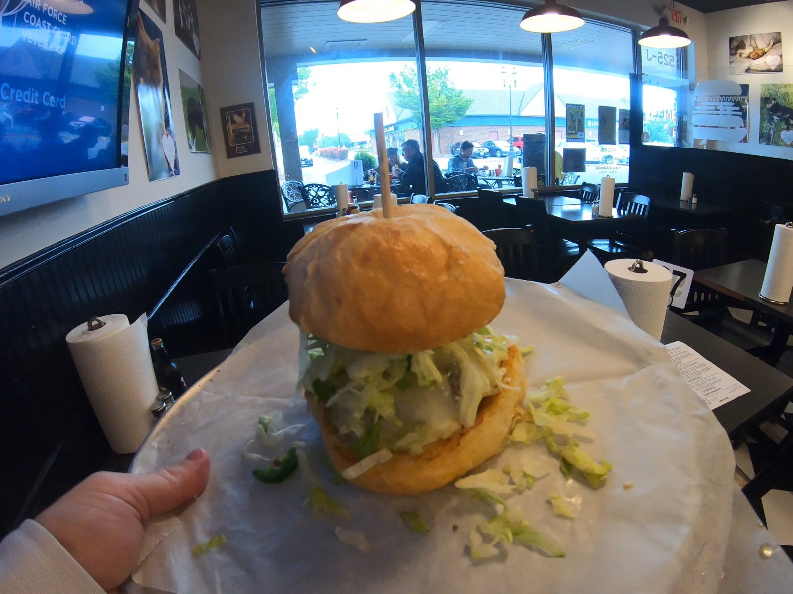 Melt Gourmet Cheeseburgers, Leesburg, United States