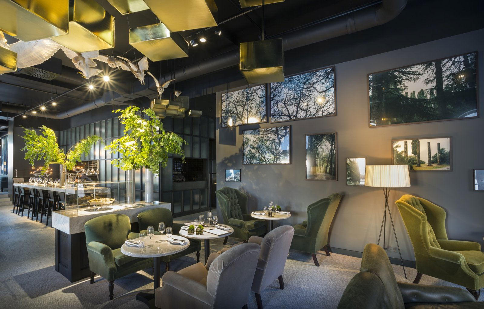 E Restaurant & Lounge, Restaurant in Rovigno D Istria