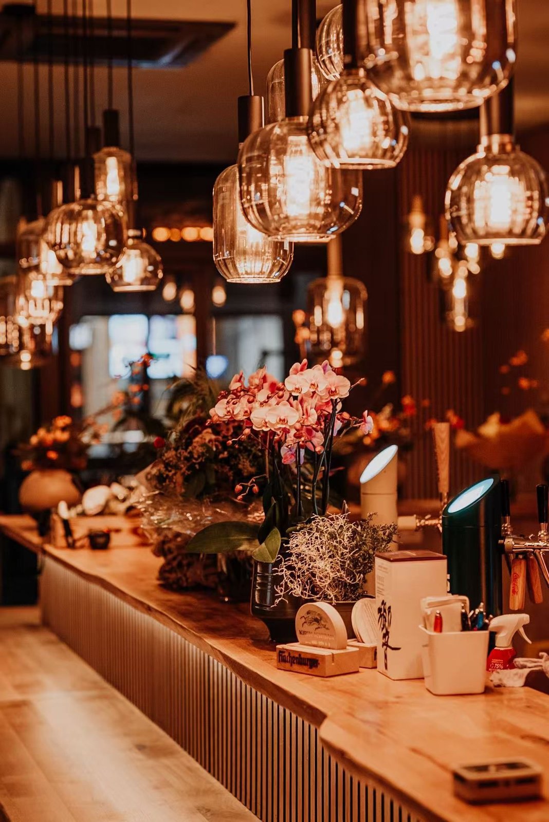 Takumi, Restaurant in Koblenz