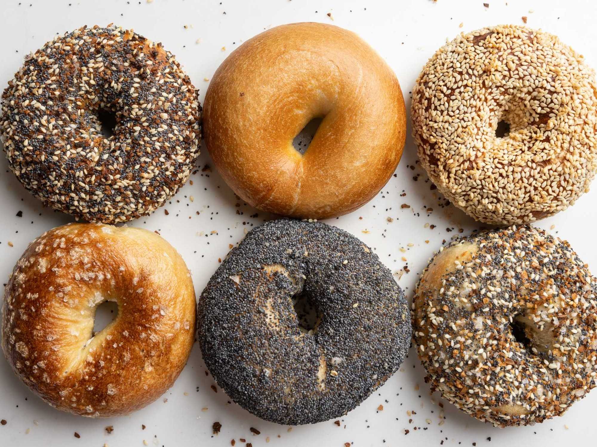 PopUp Bagels, Restaurant in Houston