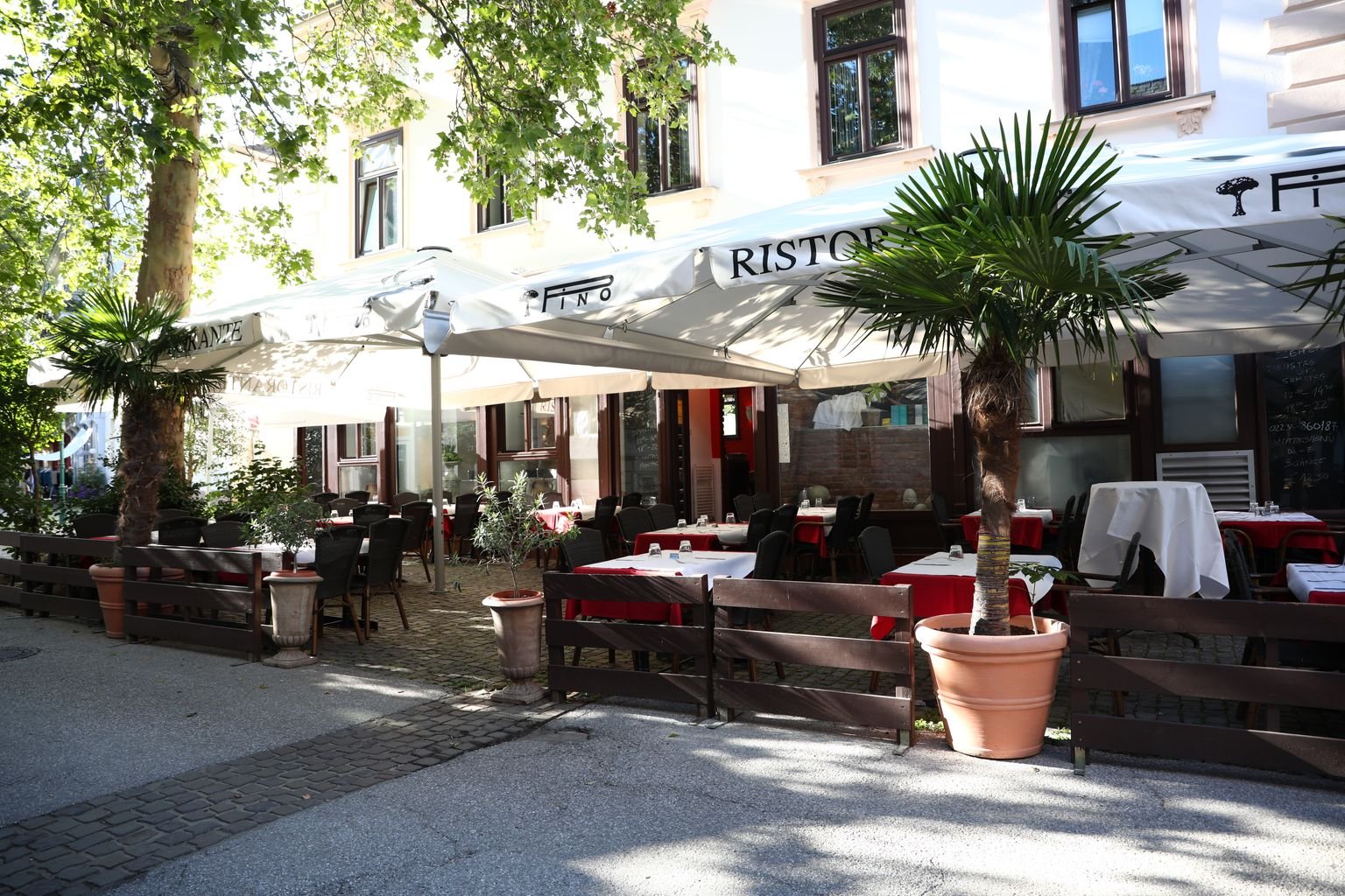 Pino