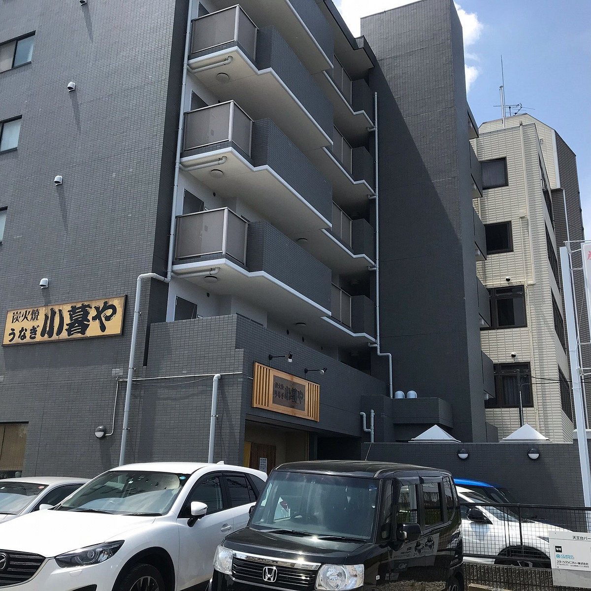 Kogureya