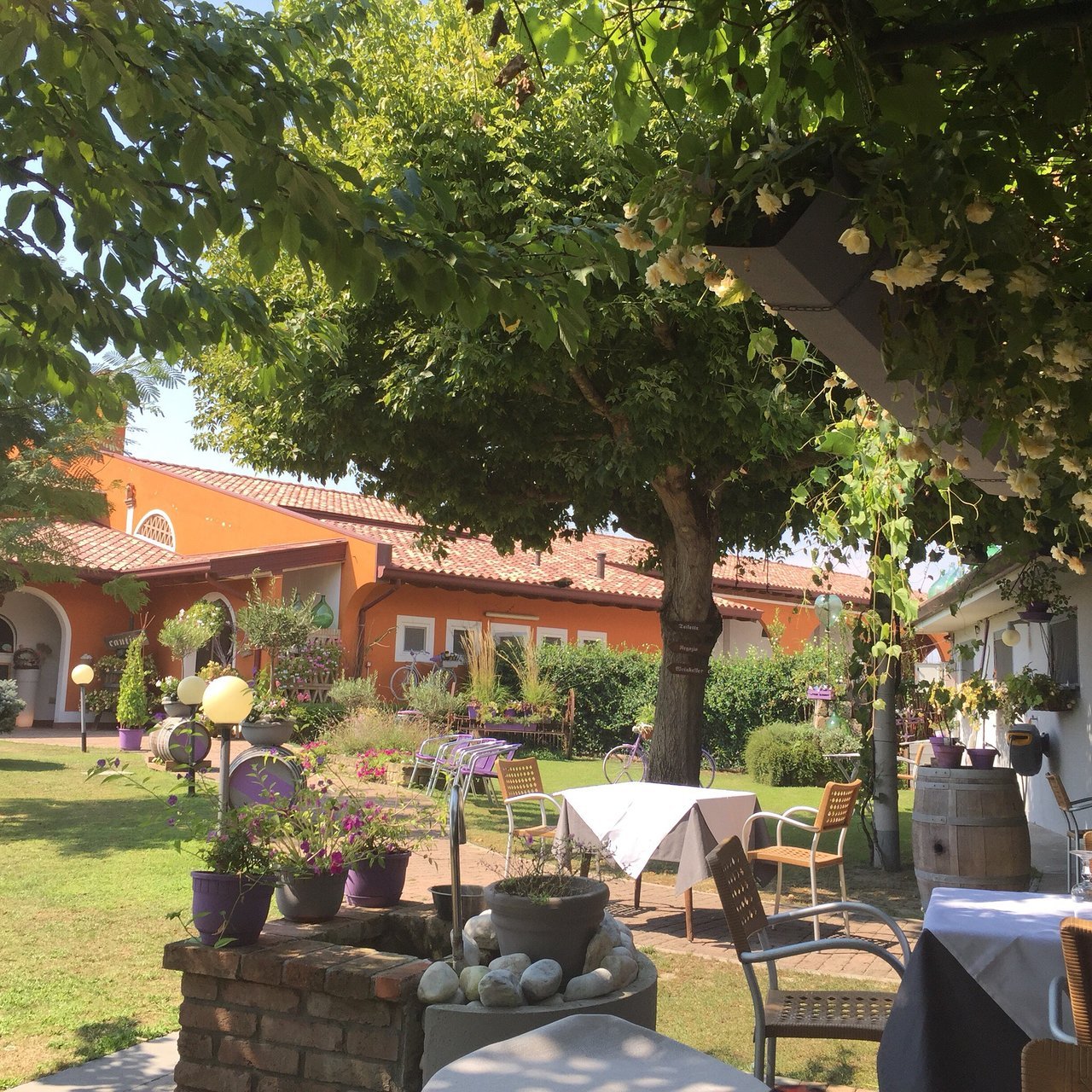 Alla Buona Vite, Grado, Italy